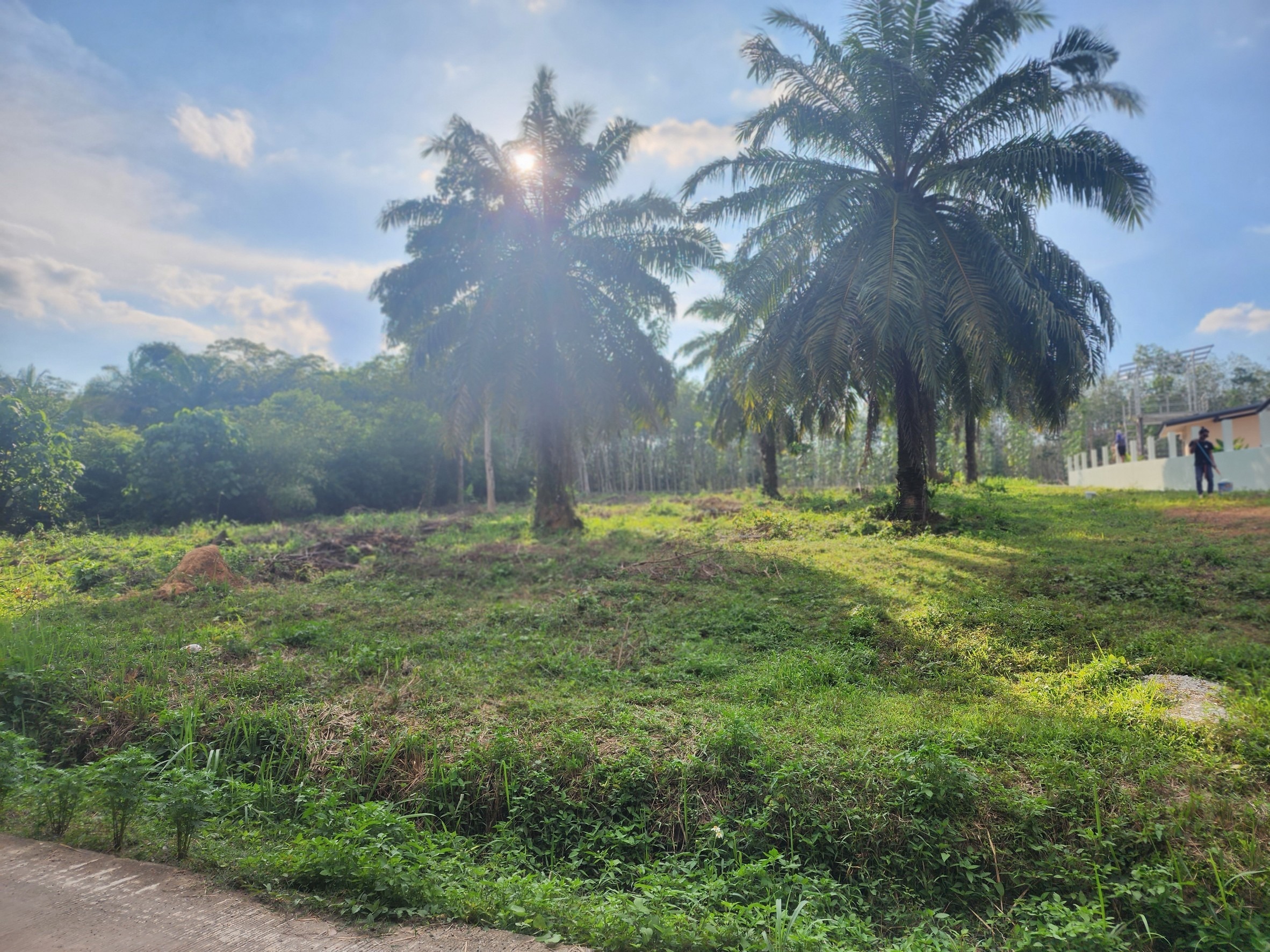 Land Sale Nathai Aonang Krabi Thailand